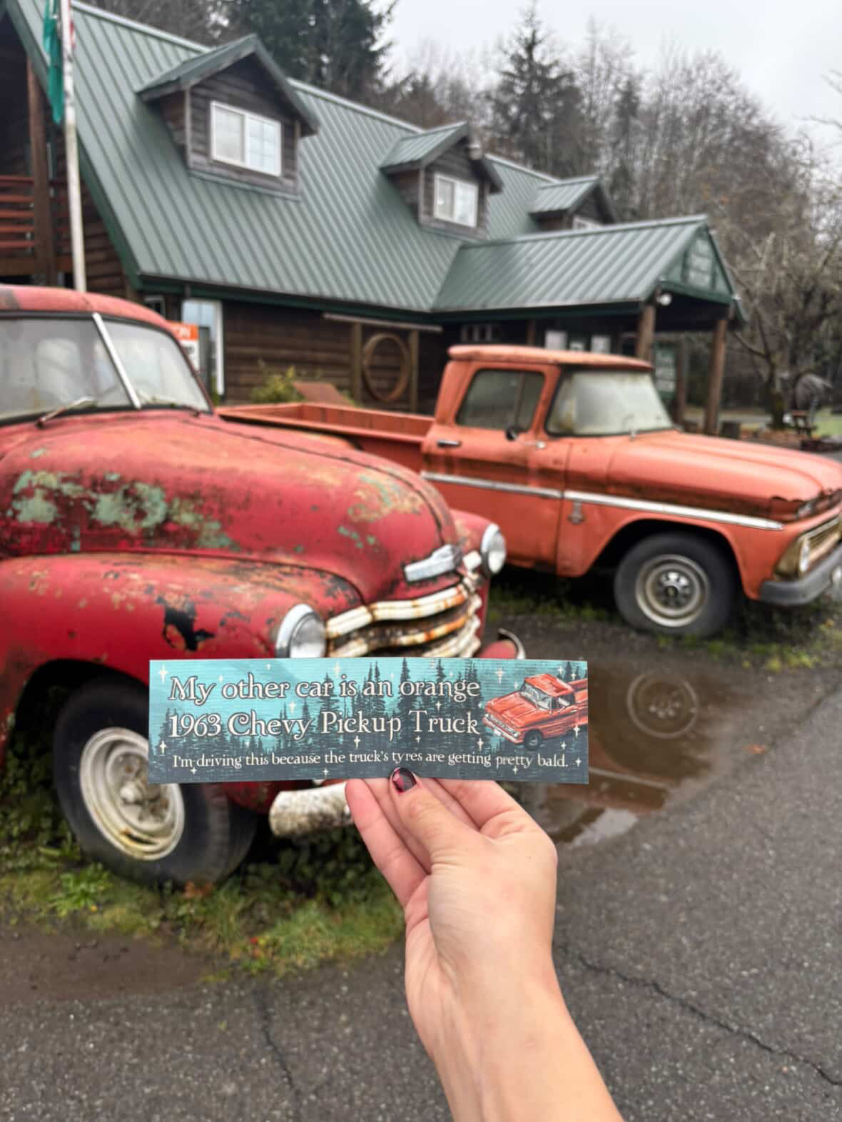 Twilight Magnetic Bumper Sticker