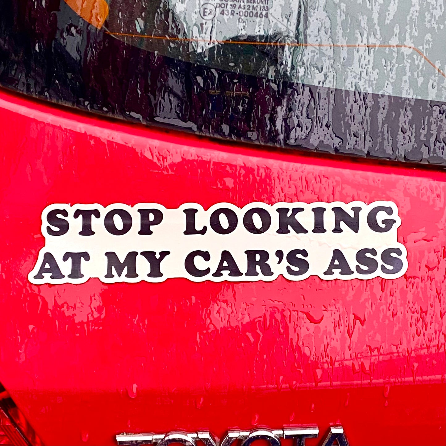 Stop Looking Magnetic Bumper Sticker