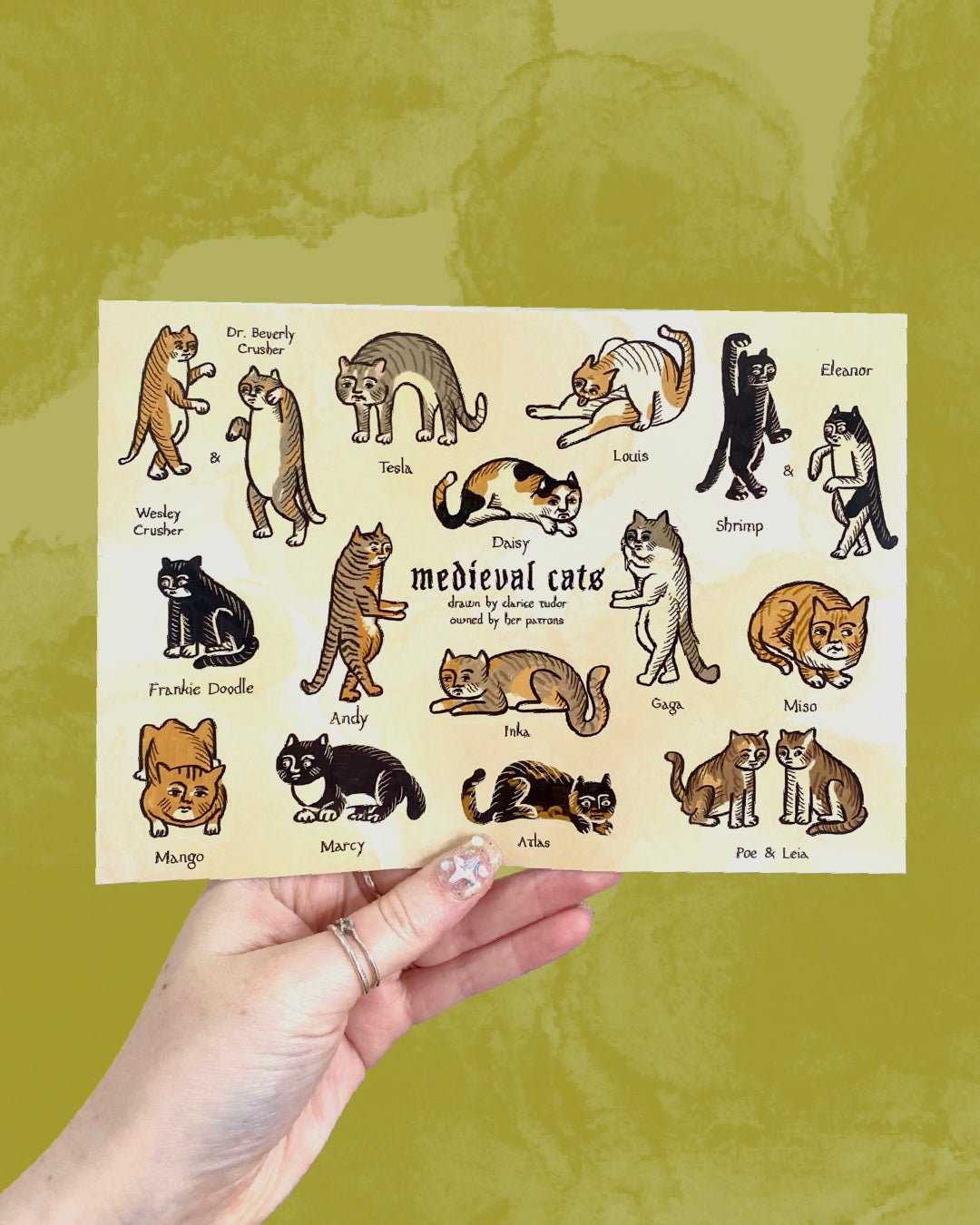 Medieval Cats Sticker Sheet